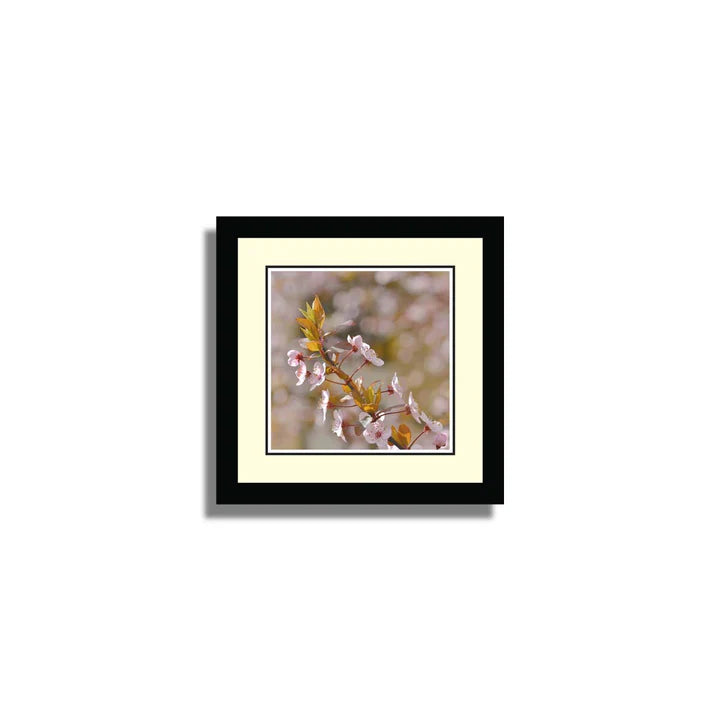 Set of 10 Floral Framed Art ZS_FR61