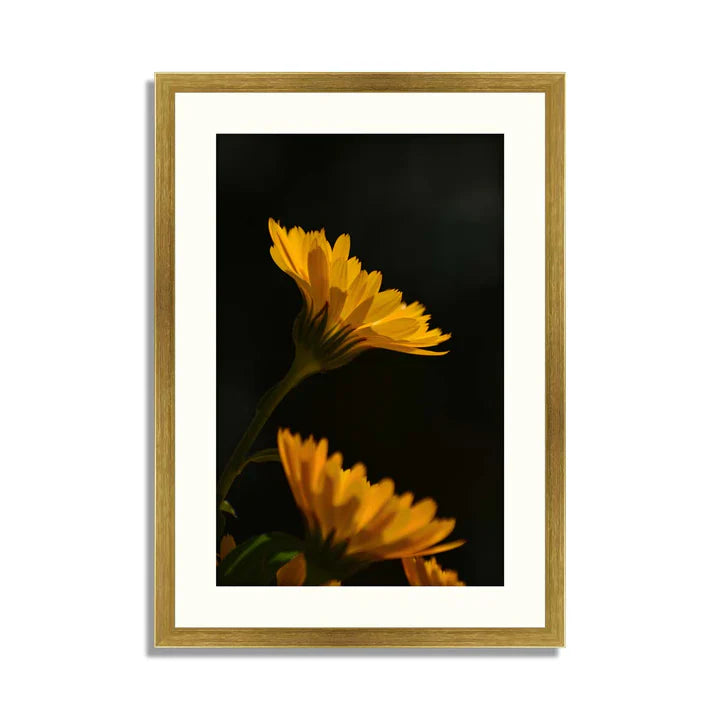 Set of 3 Floral Framed Art ZS_FR39