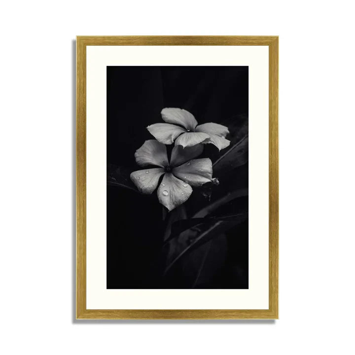 Set of 3 Floral Framed Art ZS_FR39