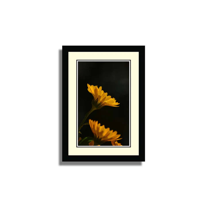 Set of 10 Floral Framed Art ZS_FR61