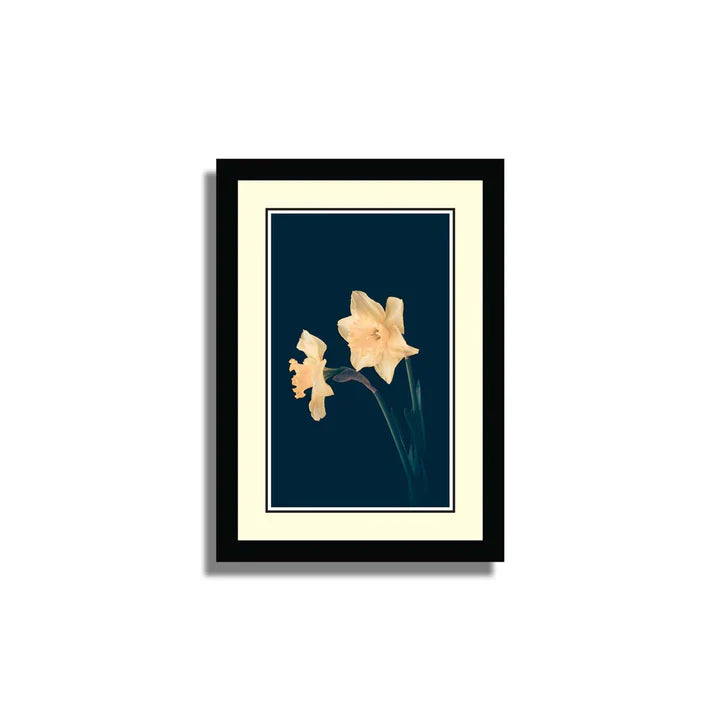 Set of 10 Floral Framed Art ZS_FR61