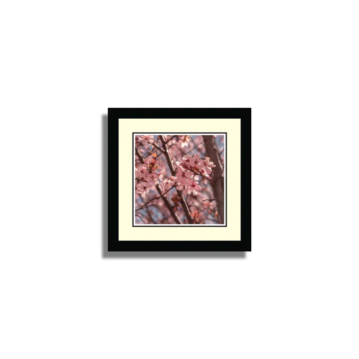 Set of 10 Floral Framed Art ZS_FR61