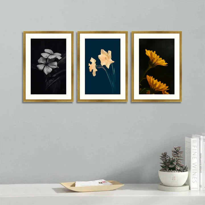 Set of 3 Floral Framed Art ZS_FR39